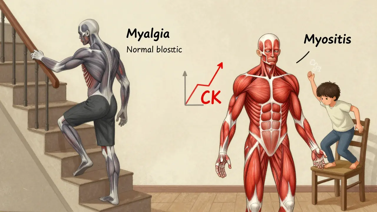 Two figures showing mild muscle ache versus severe inflammation from statin side effects.